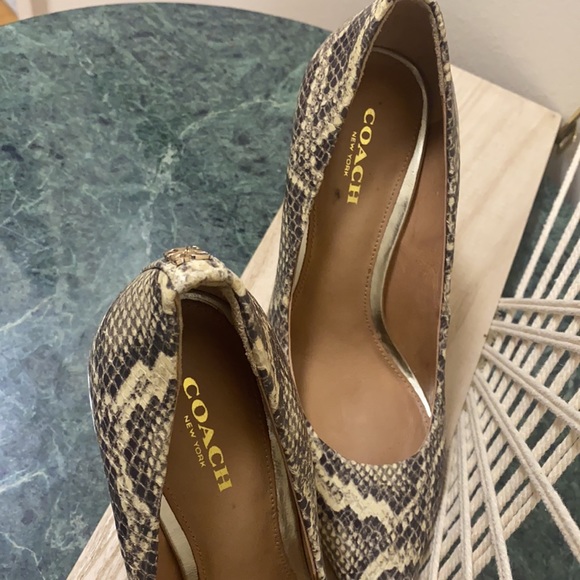 Coach - Picture 2 of 4